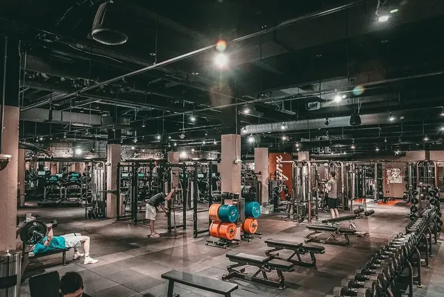 Lynx Fitness Club